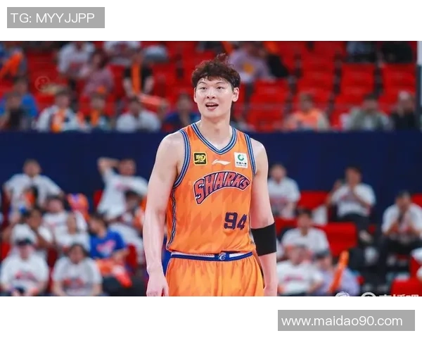 王哲林领衔福建男篮崛起之路，助力中国篮球发展迈向新高峰