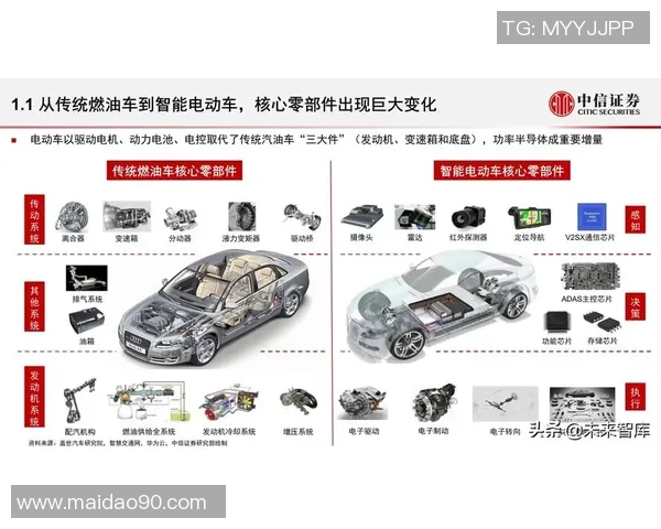 网球运动发展历程与未来趋势探讨：从传统赛事到数字化时代的革新
