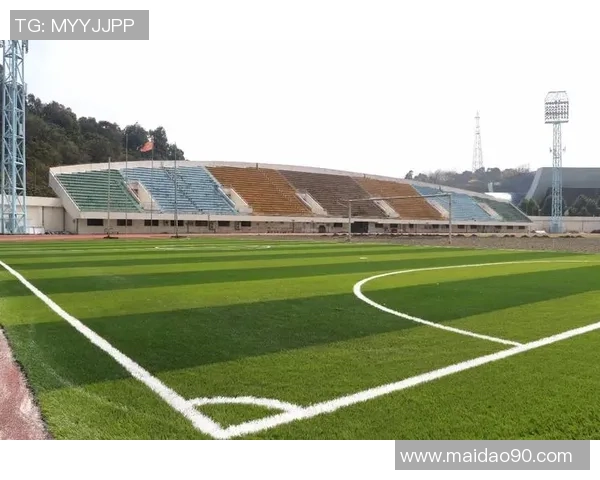 足球俱乐部管理新模式探索与实践分析如何提升球队综合竞争力