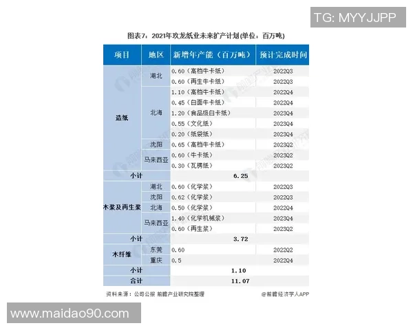 AL与CFO职能对比分析探讨企业财务管理的未来发展方向
